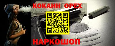 шишки Кандалакша