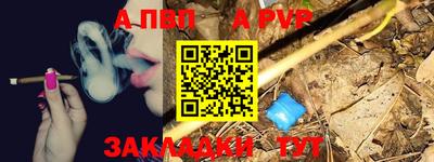шишки Кандалакша