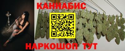 шишки Кандалакша