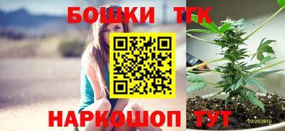 твердый Камышлов