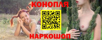шишки Кандалакша