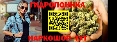 твердый Камышлов