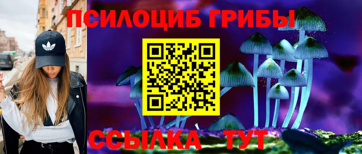 продажа наркотиков  Вход с VPN  Миллерово  Псилоцибиновые грибы ЛСД 